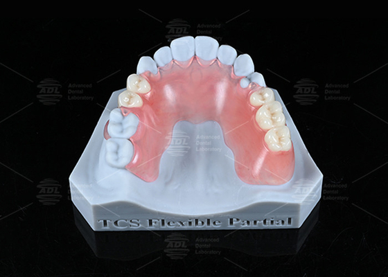 comprare TCS Flessibile parziale resistente alle macchie BPA-Free Parziale protesi per un aspetto naturale fabbricazione online
